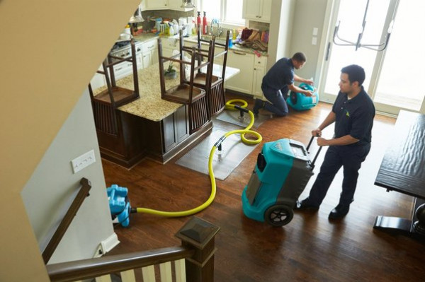 Residential Vs. Commercial Water Damage Restoration Services: What You Need To Know?