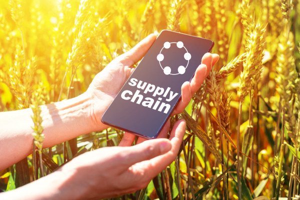 From Field To Table: How Agricultural Equipment Shapes The Food Supply Chain image