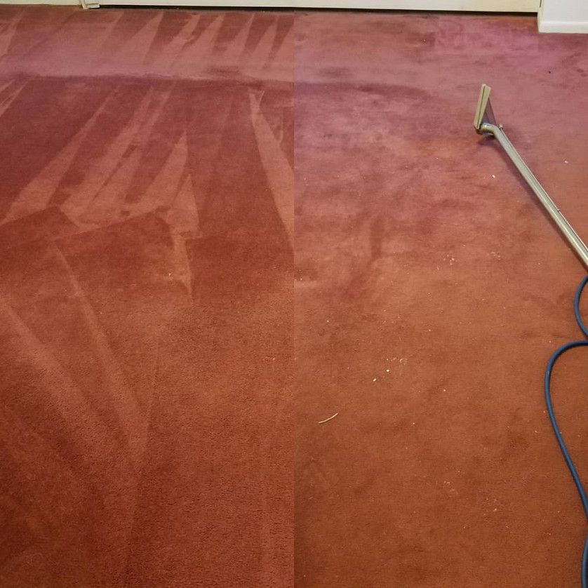 Carpet Cleaning Bracken Ridge image
