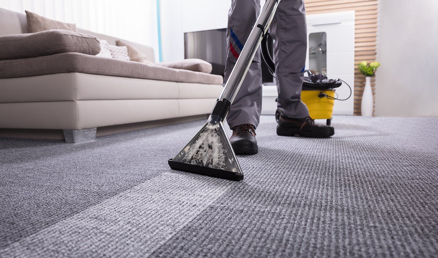 Why to Hire a Professional Carpet Cleaner?, image 1